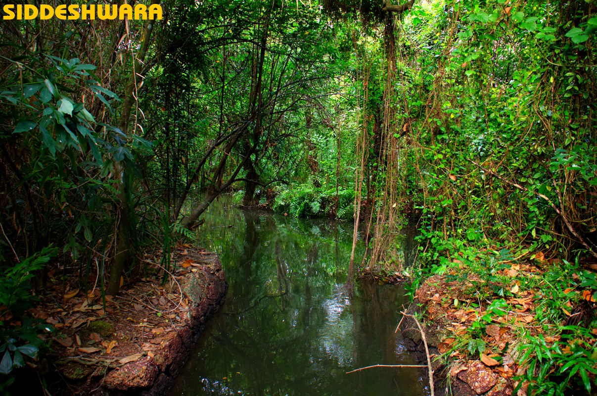 siddeshwara-alappuzha/alleppey